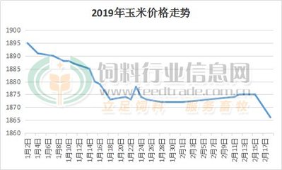 临清玉米价格最新行情-临清玉米价动态