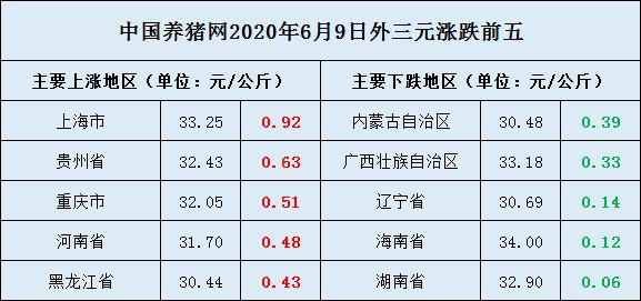 猪价飘红，美好收益在望——今日猪价实时查询平台