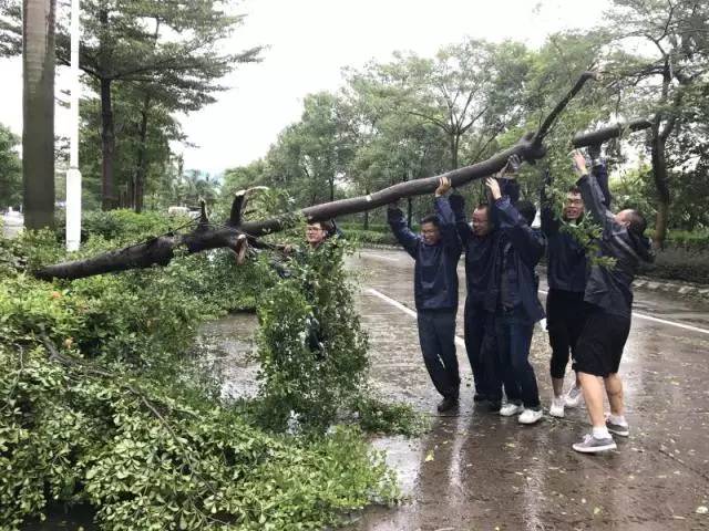 “广州迎来台风动态追踪，共筑平安防线”