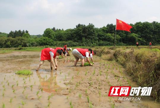 焕新速递：小程序前沿动态，美好未来一触即发